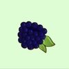 juneberrycloset juneberrycloset
